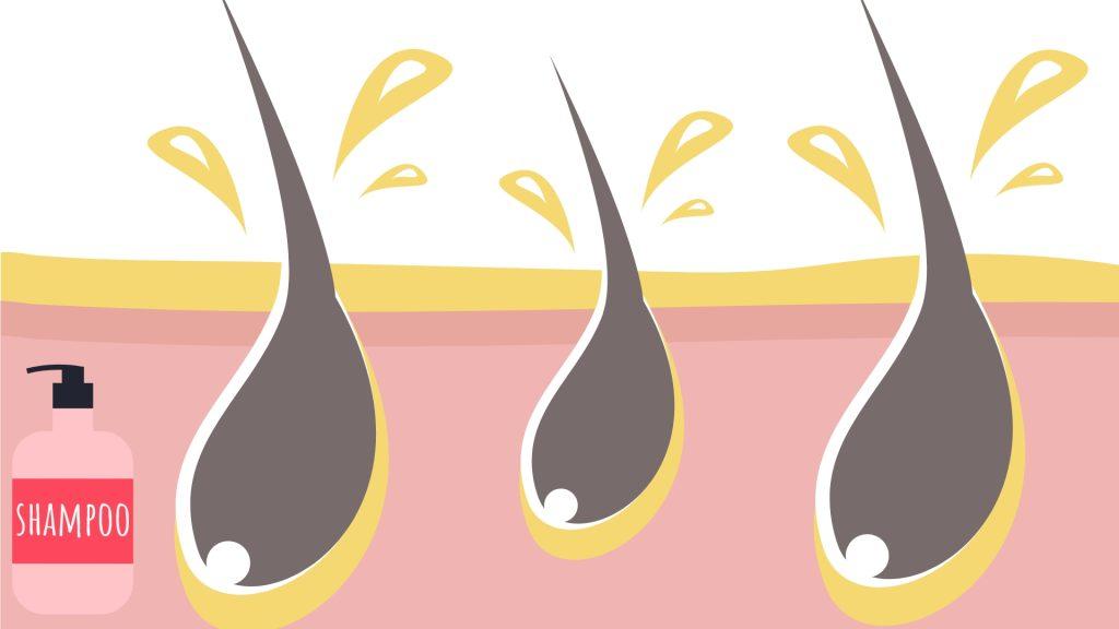 Sebum in hair